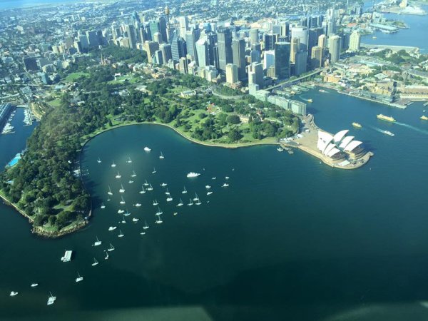 Harbour Scenic 1 - Sydney