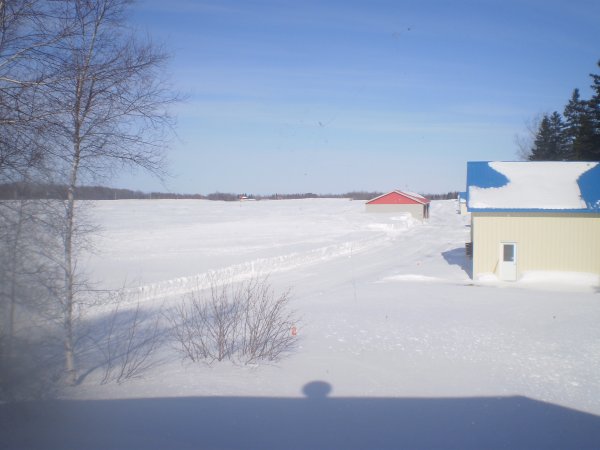 View From Kitchen