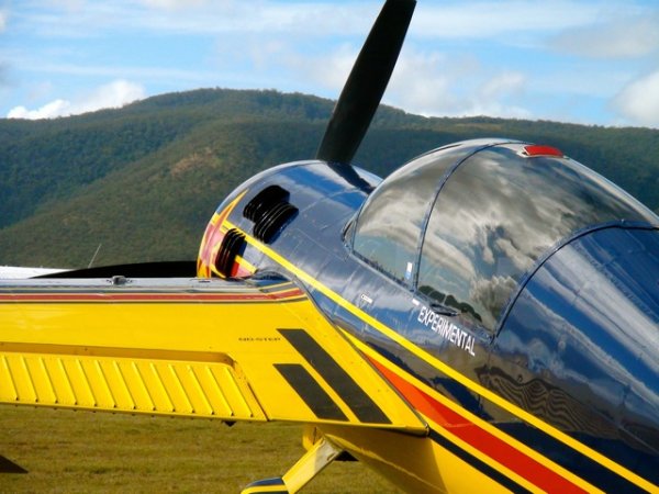 Yak 54