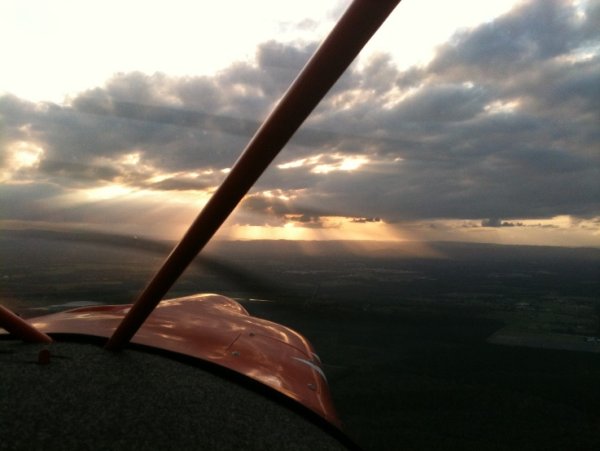 Savannah Sunset