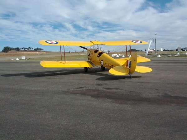 Tiger Moth