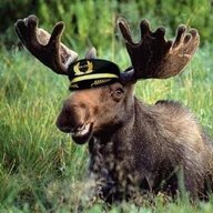 Snakemoose