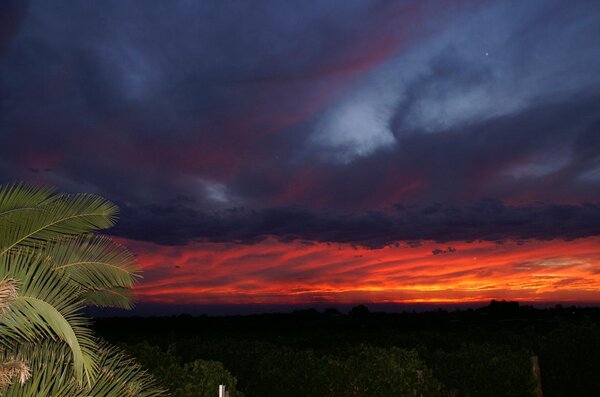 1541451038_sunset22-1-06021.thumb.jpg.4d3b3e5ff4b9fc04ed278c0b6f80043e.jpg