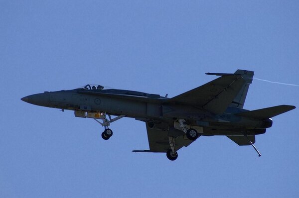 1808643012_Temora-Hornets132.thumb.jpg.842f0f73a6928dae92fc4eaa9c605dc7.jpg