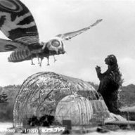 mothra