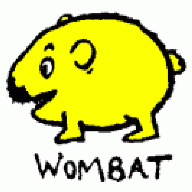 Wombat