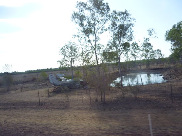 599307625_NorthernTerritorytrip117.thumb.jpg.27e5e924fc28ca6e3bfce3f716d61237.jpg