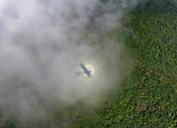 754153406_Shadow(Large).thumb.JPG.6ddd51223a42b3139f018c0f691532ac.JPG