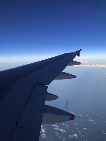 787540B0-8A89-4F9B-A16B-0098FFDBEA1D.thumb.jpeg.4380680915225d83a8112b1f1e30c5e2.jpeg