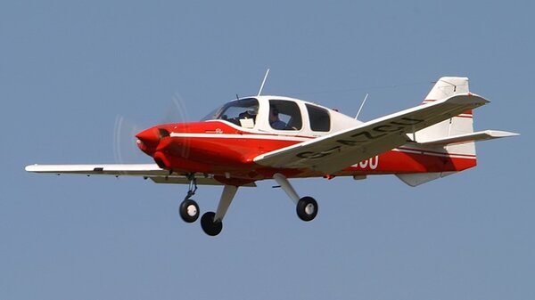 BeaglePupG-AZCU.jpg_thumb.d6e832dac684e1ba94cb292cde4df3c9.jpg