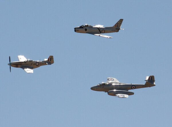 Temora.thumb.jpg.6c8f2010f8f73d642d03e45aea6fd68a.jpg