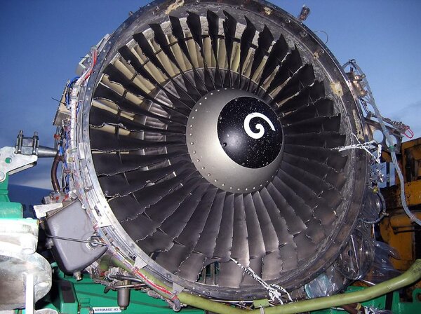 birdstrike.thumb.jpg.c46de50df05849a6ef116b0ca1e61827.jpg