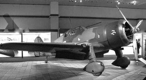 Plane 1.jpg