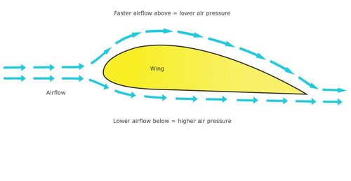 More information about "1.1 An introduction to flight"