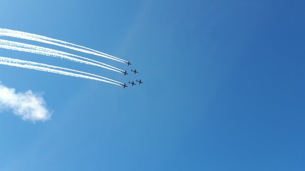 20210331_114825.jpg