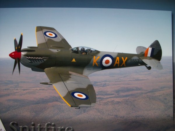 More information about "Spitfire 3.JPG"