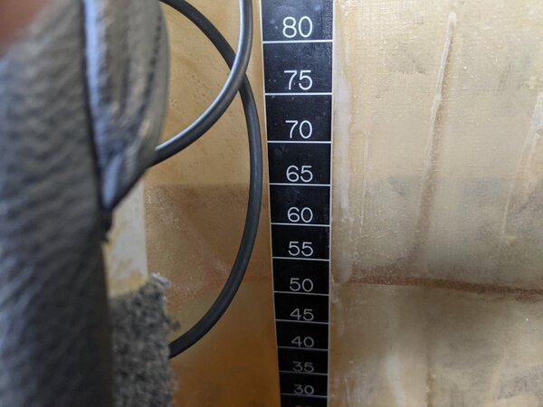 PXL_20201205_020549975.jpg