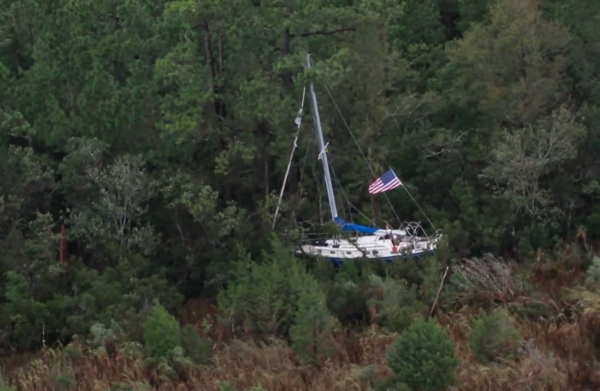 1471289657_boatintree.thumb.png.fc88c9b3f3e8898f4650ce42d1c83c47.png