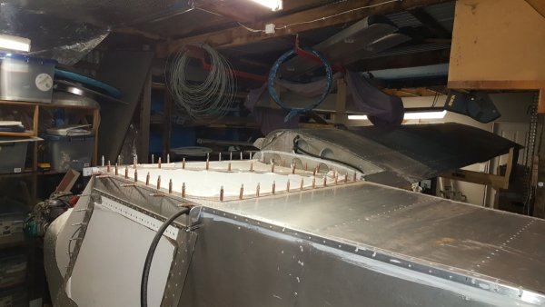 20230709_174652.thumb.jpg.3833ab5353adc8832ee061ea66a62e33.jpg