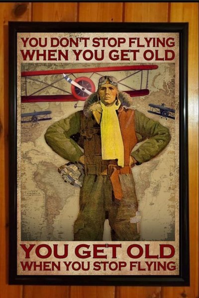 More information about "old stop flying.jpg"