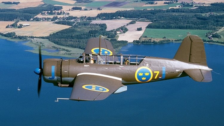 More information about "Saab 17"