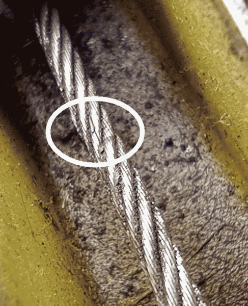 image.thumb.png.2c65e7098459f514c35bb6f6f21e1981.png