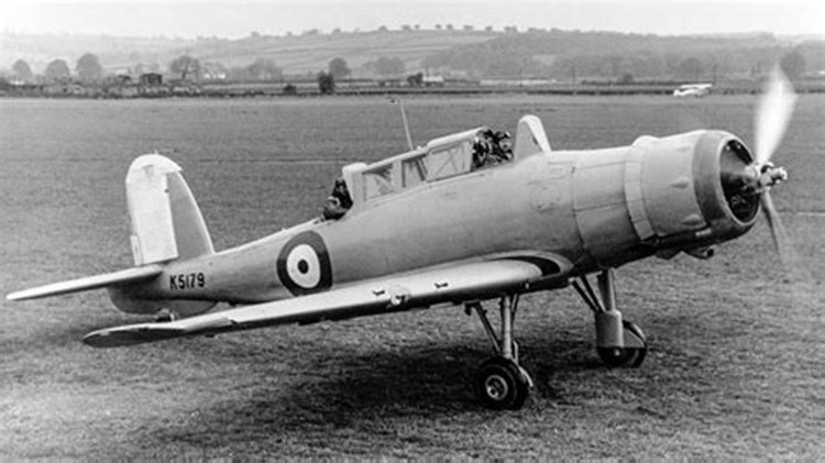 More information about "Blackburn Skua"