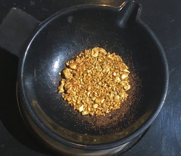 Finegold.thumb.jpg.d48fbf806288c50d87037cf27facb185.jpg