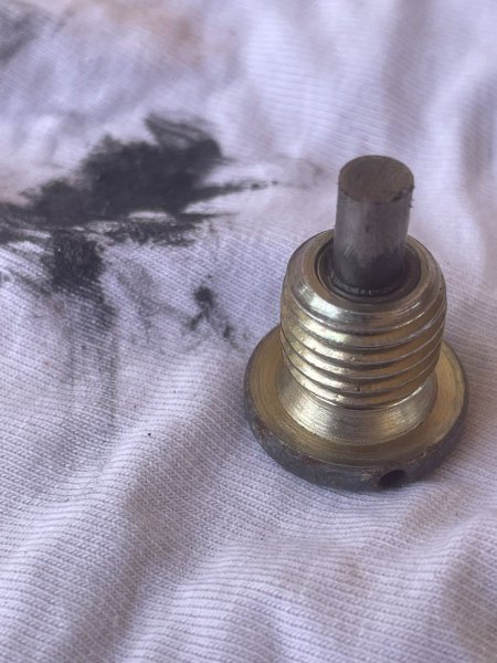 Torxplug4.thumb.JPG.702ce63d7bbb805fffcb0adc38034d54.JPG