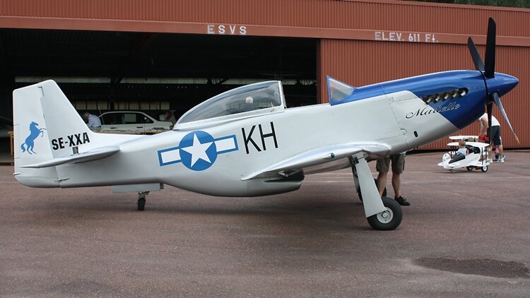 More information about "Falconar SAL Mustang"