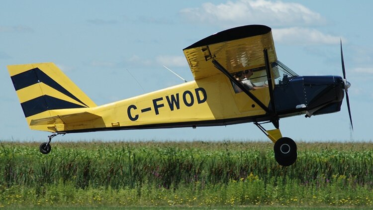 More information about "Delisle C.A.D.I. Bush Caddy R.80"