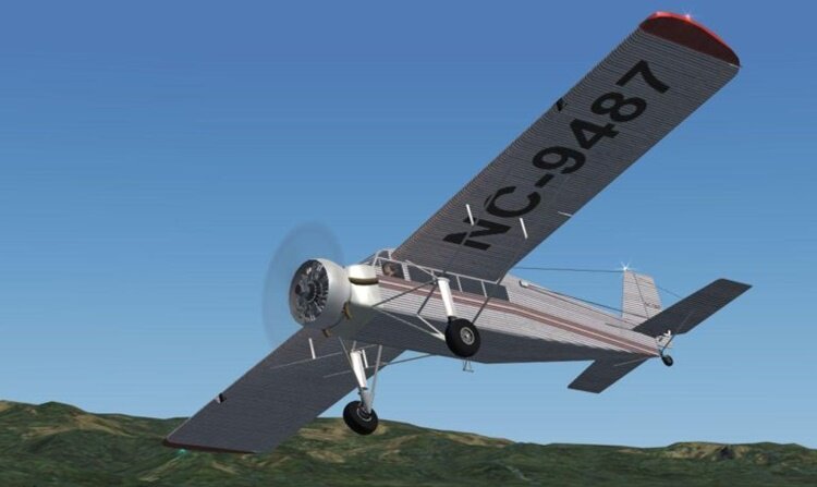 More information about "Metal Aircraft Flamingo"